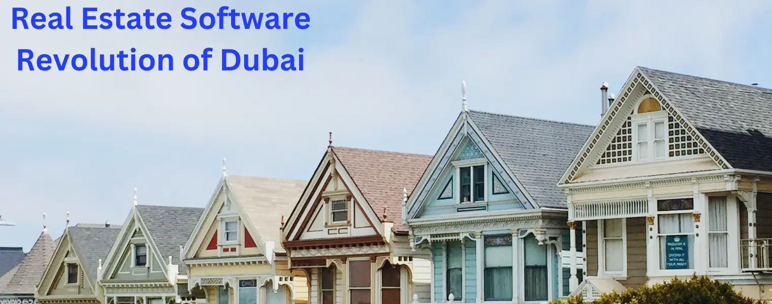 Real Estate Software Revolution of Dubai